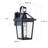Adamo Black Iron Wall Light with Dusk to Dawn