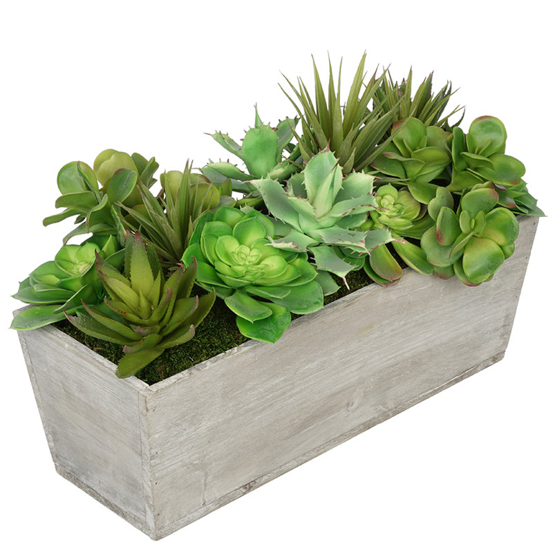 Plante grasse artificielle en pot, Gris clair