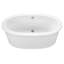 Adena 7 59.5" Freestanding Soaking Bathtub
