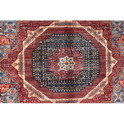 Aryana Wool Oriental Indoor Rug