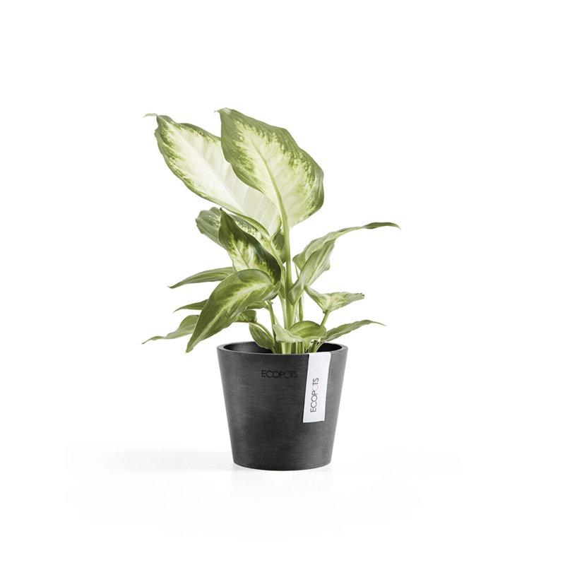 Dark Grey 7-Inch Recycled Plastic Indoor/Outdoor Planter