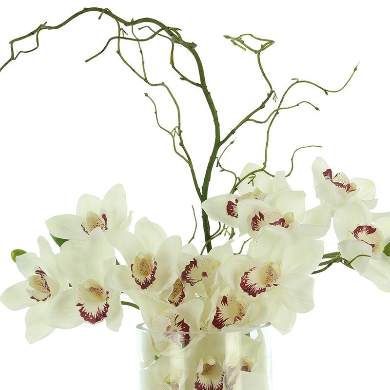 Orchid Arrangement in Glass Vase with Rocks, White
