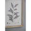 Ensemble de décorations murales botaniques 15,7 x 20,7 po pour la maison, le salon, la salle à manger, la chambre à coucher, le couloir, ensemble de 4