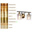  Balendran 2-Light Dimmable Vanity Light-Hammer Glass-909288093