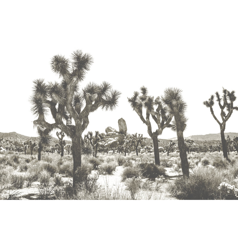 Desert With Baobo Trees - Wrapped Canvas Print, 30cm H x 46cm W 