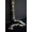 72'' in. Preserved Driftwood Garland