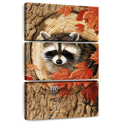 Brampt Raccoon