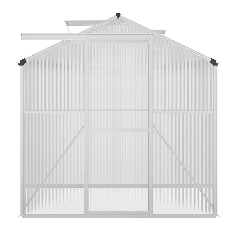 Ajani 6Ft x 10Ft Greenhouse
