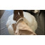 Repose-pieds 34 po rembourré à compression citrouille pour chambre à coucher, table basse Teddy-1039749113