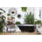 Millar White Washed Galvanized Metal Two Tier Planter Cart with Tub on the top