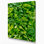 "Watercolor Botanical 66", art mural sur toile verte