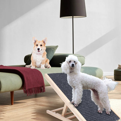 Donnabelle Collapsible Ramp