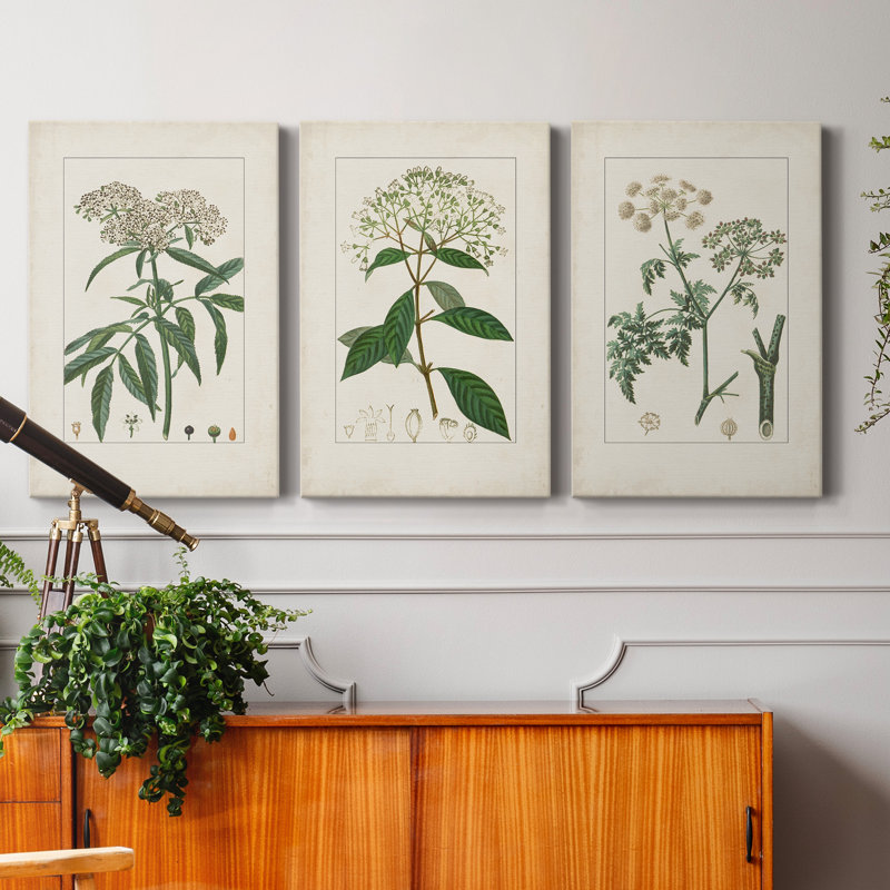 Antique Turpin Botanical VII - Ensemble de 3 peintures sur toile tendue, H 27 po x l 54 po x P 1 po