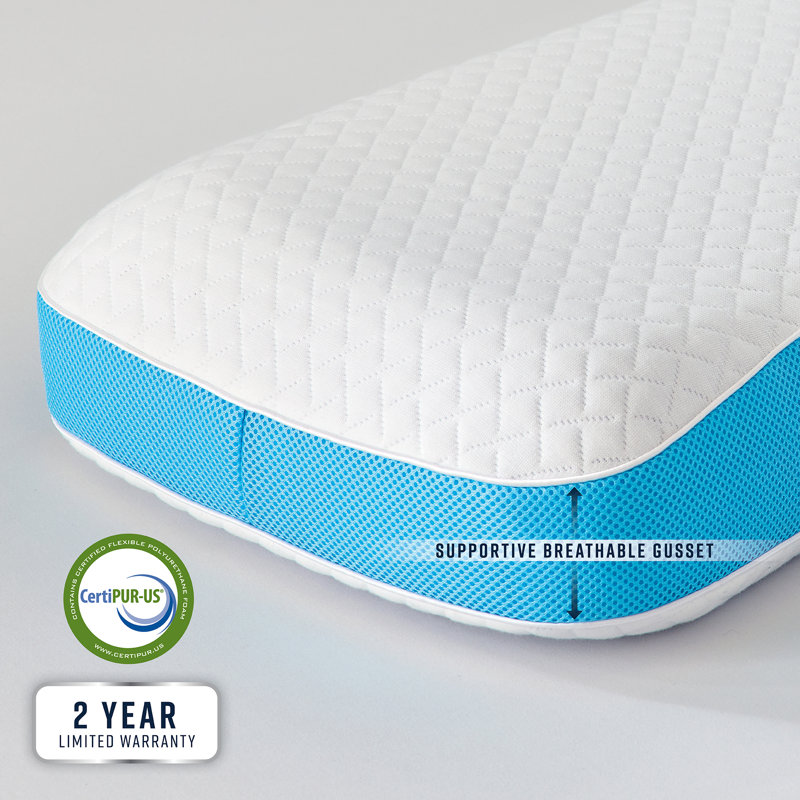 Ultra Firm Gel-Infused Memory Foam Back Sleeper Pillow
