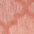 Adianey Red Barrel Studio Easy Care Trellis Coral/Orange Indoor/Outdoor Area Rug-967675561