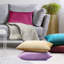 Housse de coussin décoratif en velours -182343300-182324285