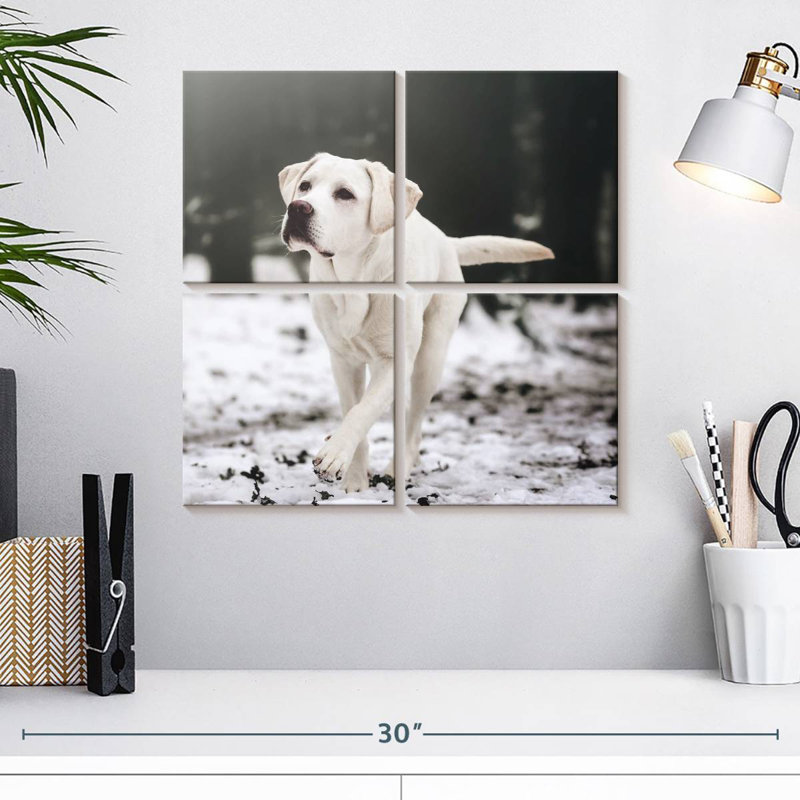 Brampt Labrador Retriever, H 18 po x l 18 po