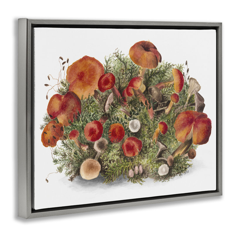 Art mural sur toile flottant Rustic Cottage, Cadre flottant gris lustré, H 17 po x l 21 po