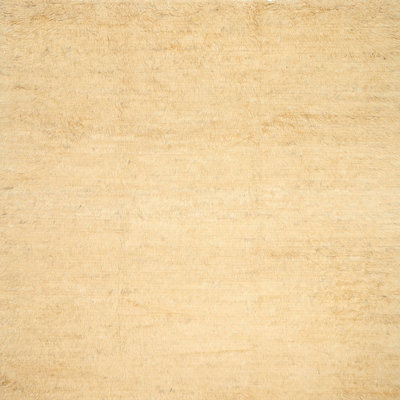 Indoor Rug