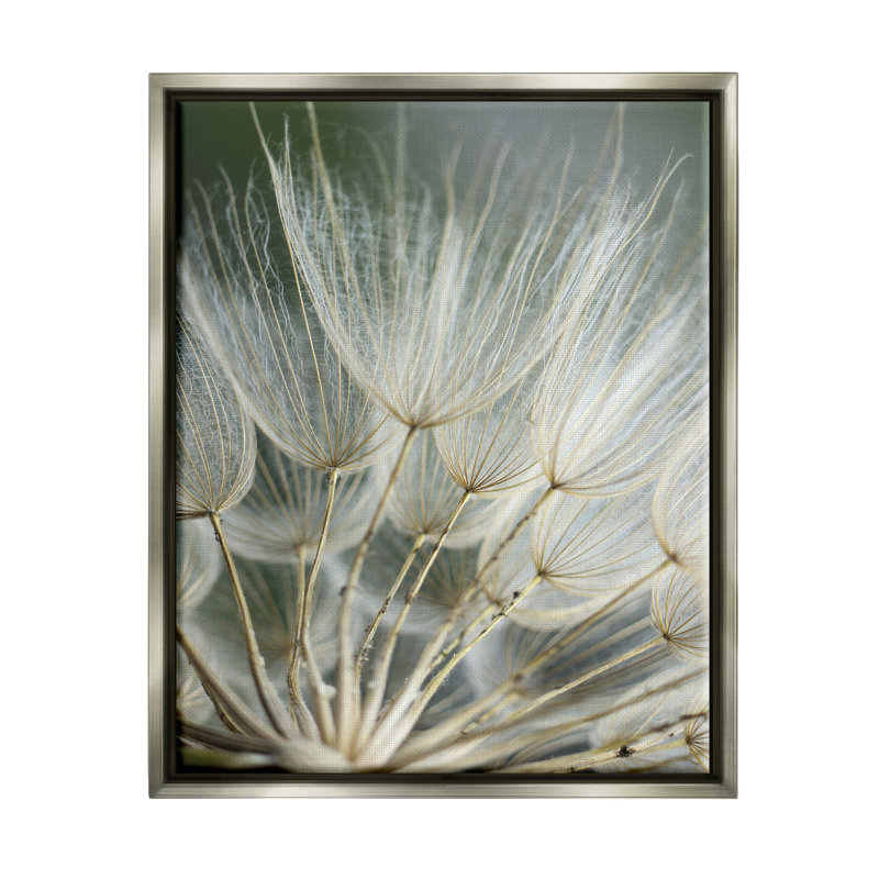 Photographie de pissenlit doux, H 21 po x l 17 po x P 1,7 po, Cadre flottant gris lustré