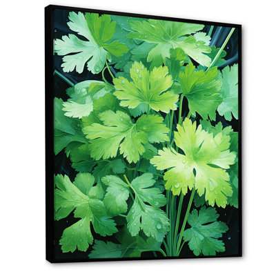 Herbes, persil, danse 1 - Art floral