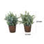 Ensemble de 2 plantes d'eucalyptus en soie artificielle Azzy, feuilles vertes, pot brun