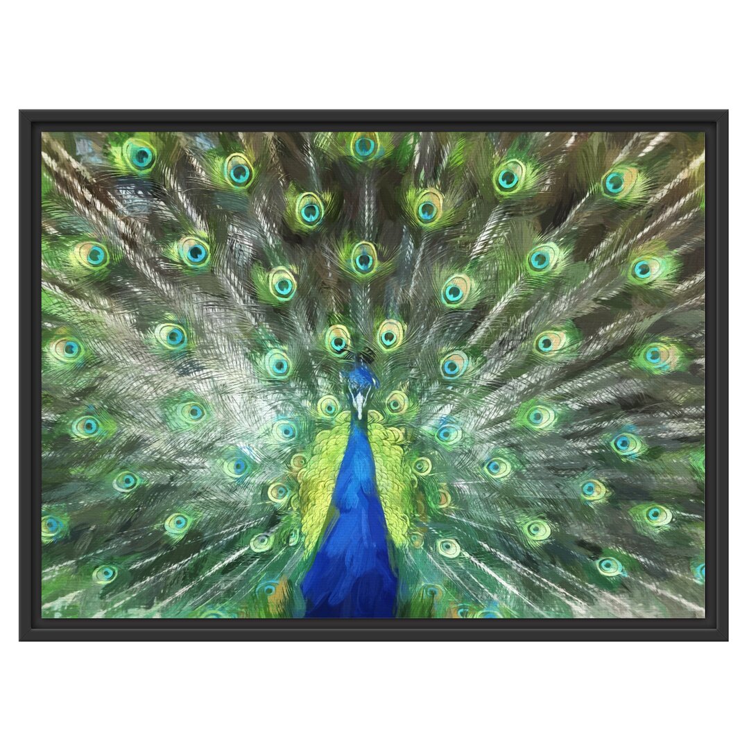 Gerahmtes Wandbild Pfau mit seinem Gefieder