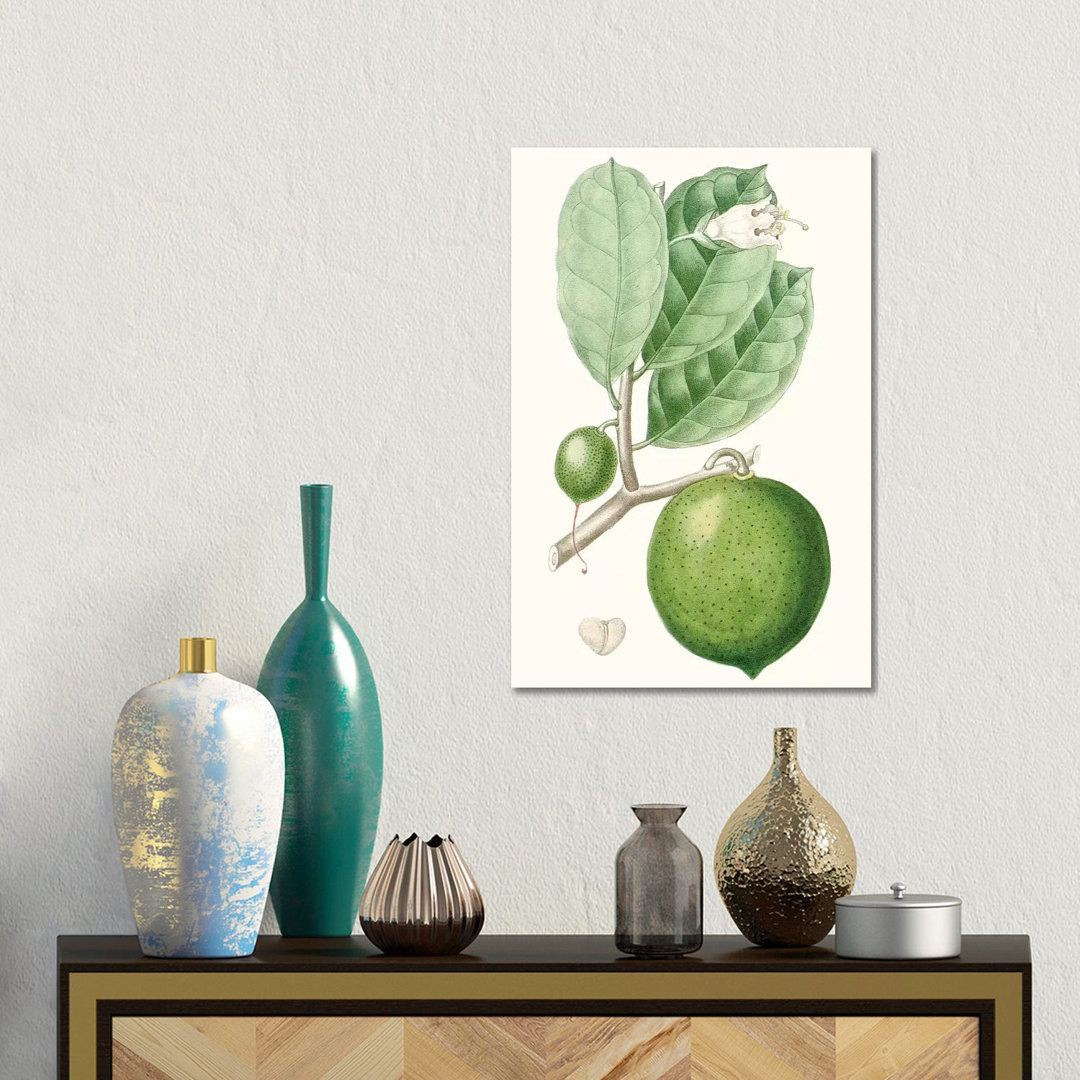 Fruit III von Turpin - Galerie-verpackte Leinwand Giclée