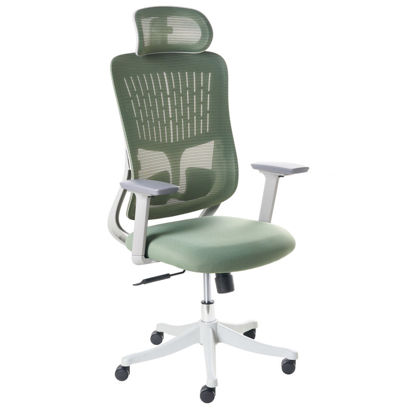 Office Chair with Headrest
