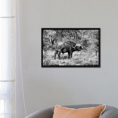 " African Cape Buffalo " by Philippe Hugonnard
