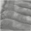 Y119-R-SLEEPER-GREY canapé-lit droit gris-1000120650-1000120652