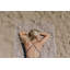 Serviette de plage et de bain Antalya-1974903570
