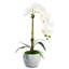 Victoria Ceramic Realtouch Orchid
