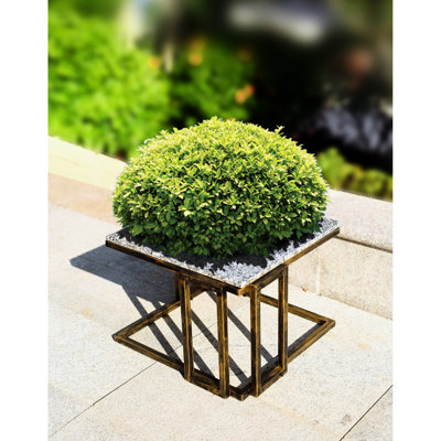 Support pour plante 14,5 po avec marbre granit et métal noir / or - Ornement polyvalent avec construction stable