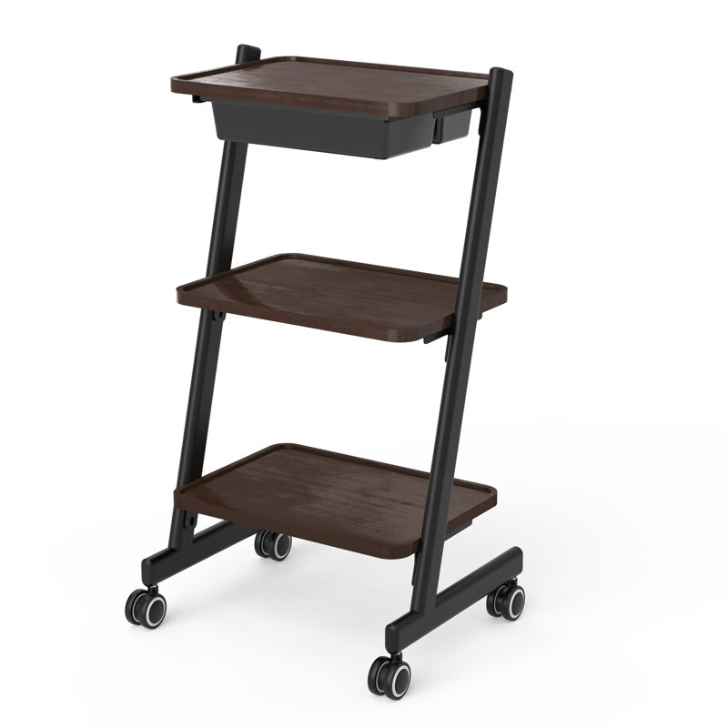 3 Tier Salon Trolley Cart With Storage Tray, Esthetician Beauty Rolling Cart, Spa Beauty Machine Trolley Stand For Beauty Instrument Storage