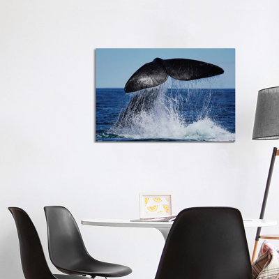 Southern Right Whale Tail Slapping, Peninsula Valdez, Argentina II by Hiroya Minakuchi - Wrapped Canvas Print