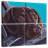 Brampt Chocolate Lab In Car-109114840