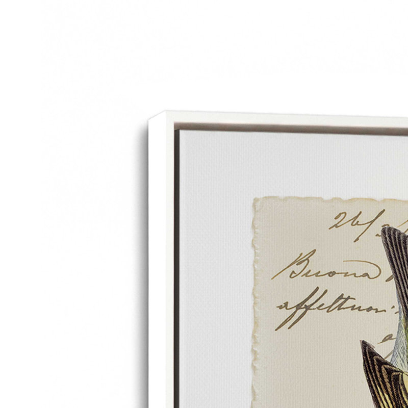 Courrier avec ailes, ensemble de 2 impressions, 30 po x 20 po, Toile avec cadre, Blanc opaque