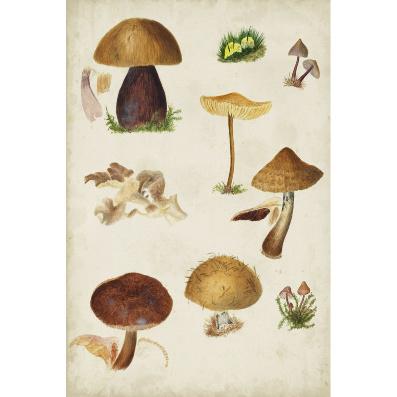 Champignon II, H 30 po x l 20 po, No, Cadre flottant noyer