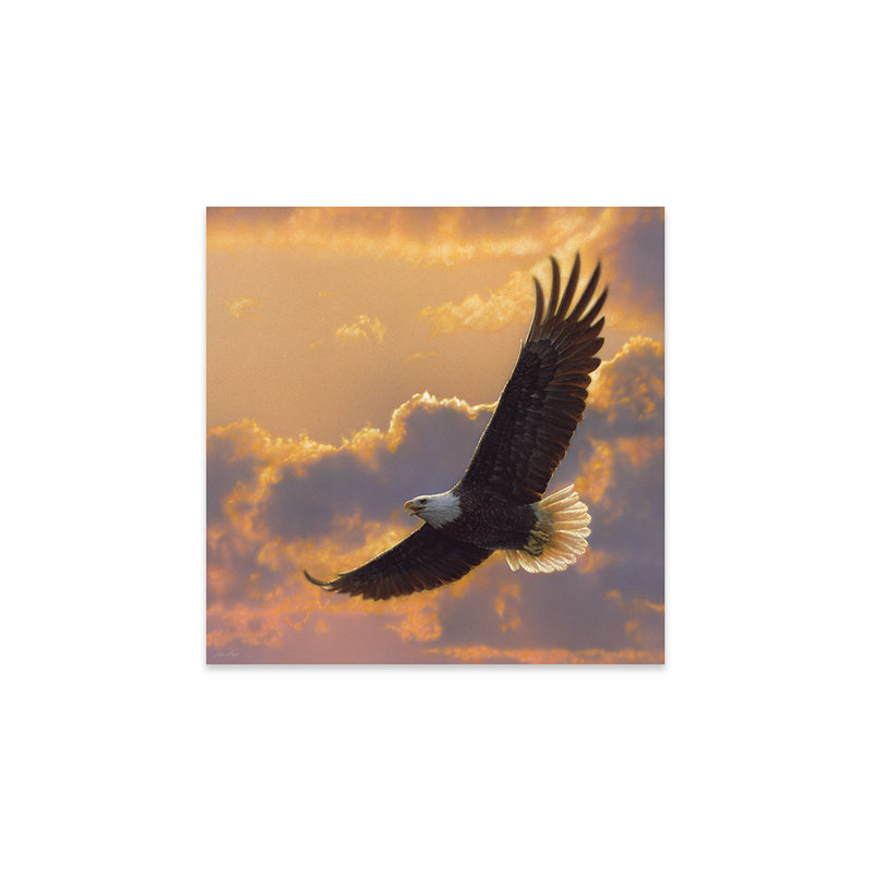 «Soaring Spirit» - Aigle à tête blanche, carré