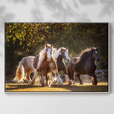 Sunlit Horses III, reproduction d'art sur toile encadrée