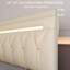 Structure de grand lit avec lumières à DEL, haut-parleur et tête de lit réglable - mobilier de chambre contemporain, revêtement en similicuir beige, support en bois de chêne, plus de 60000 choix de couleurs, modes d'éclairage lumineux,-887041069