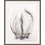 Organic Petals 1 Print