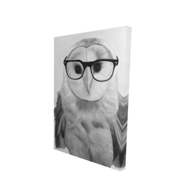 Realistic Barn Owl with Glasses - White Bedroom Canvas Decor