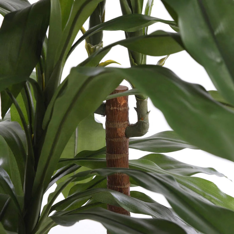 100cm Faux Dracaena Tree in Pot