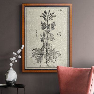 " Antique Black & White Botanical III "