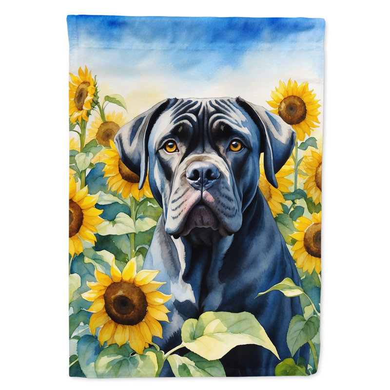 Lévrier irlandais dans le drapeau du jardin de tournesols, Cane corso