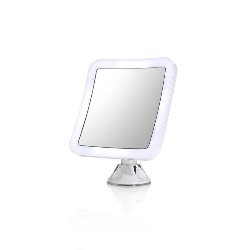 Alliviah Concave Wall Mirror