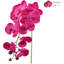 Orchidée en vaporisateur-1736211893