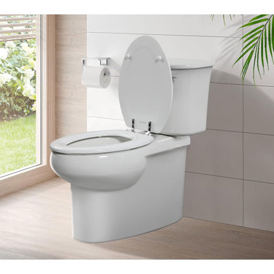 Toilet Seat